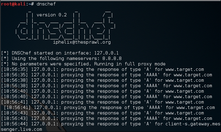 Setting up a DNS proxy