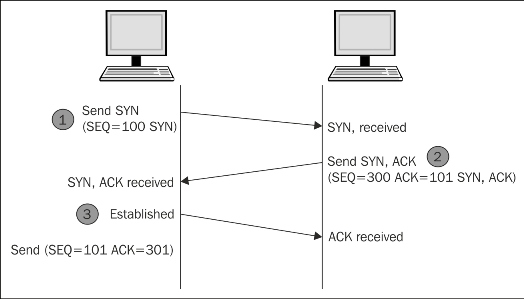 The TCP scan concept and its implementation using a Python script