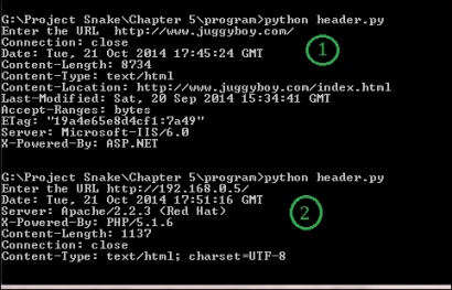 Checking the HTTP header