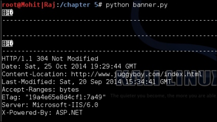 Banner grabbing of a website