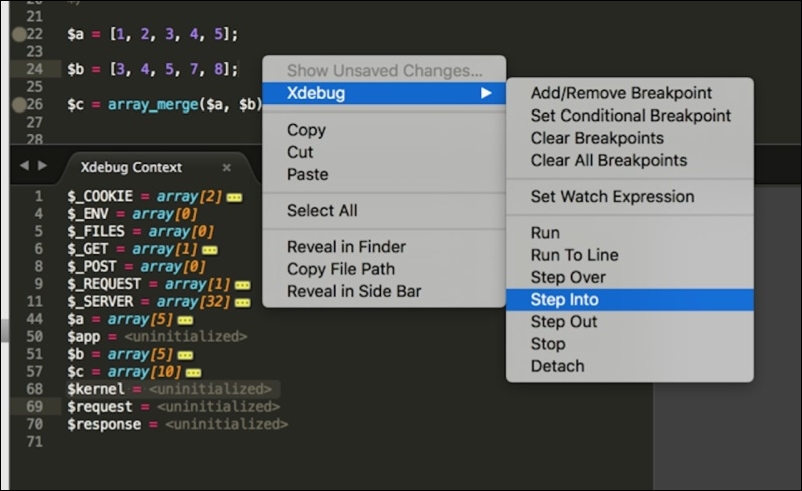 Debugging with Sublime Text