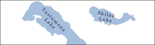 Configuring polygon labels