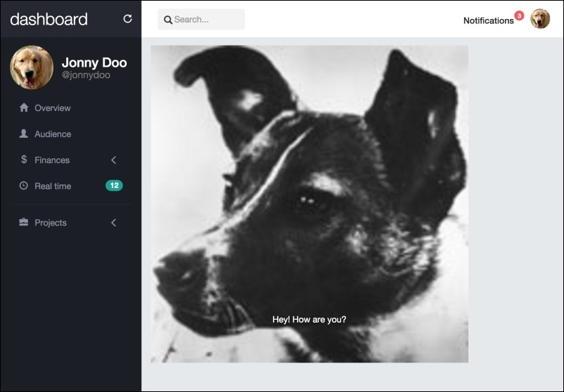 Using the Bootstrap carousel