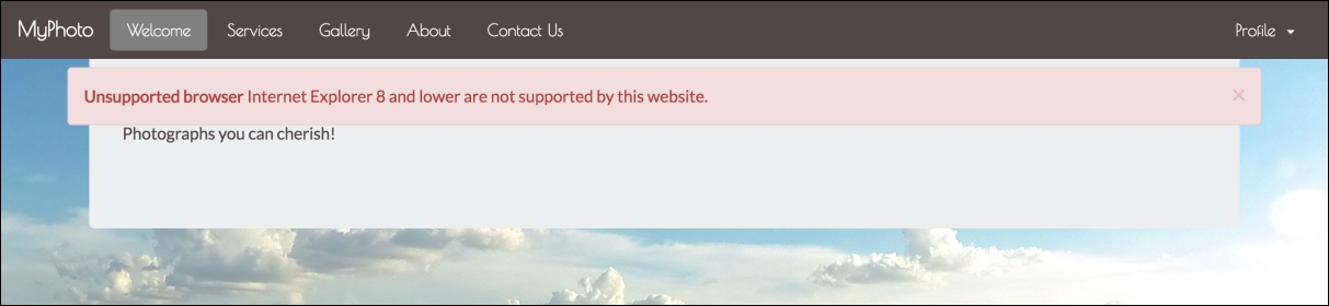 Using and customizing alerts