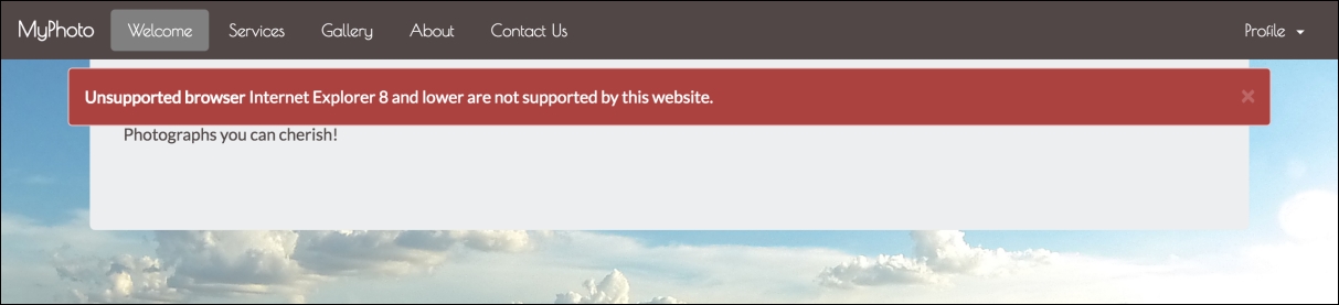 Using and customizing alerts