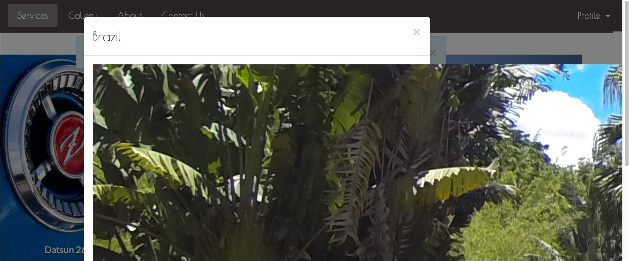 Extending carousel's functionality with JavaScript