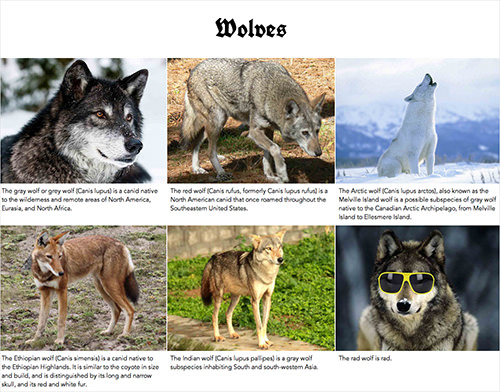 An example of images combined with descriptive text