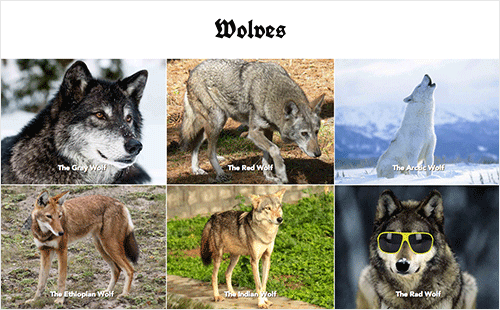 A responsive grid example